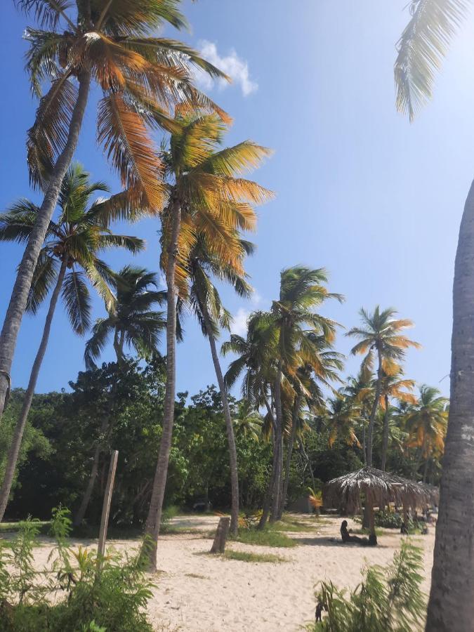 Virgin Islands Campground Water Island Eksteriør bilde